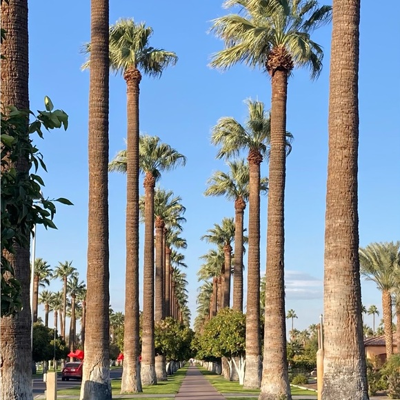 Meet your posher, Christine - Picture 3 of 10